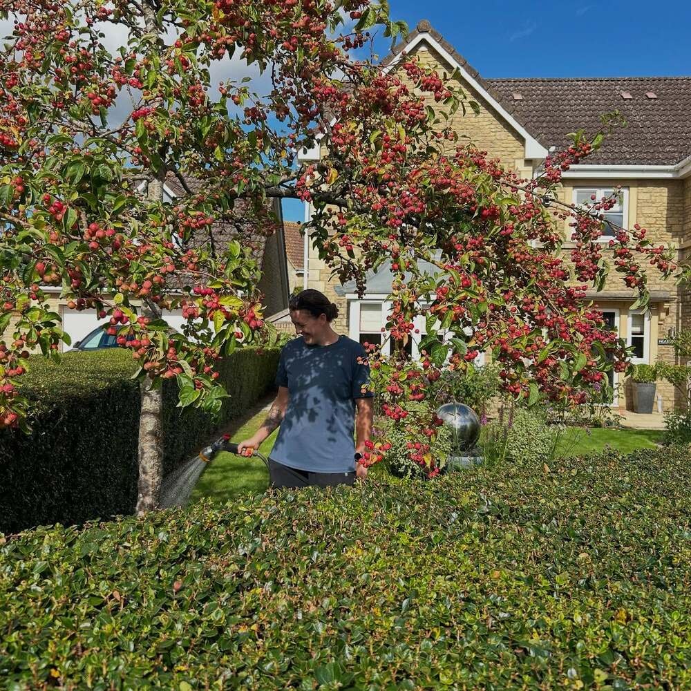 Person watering lush garden tree