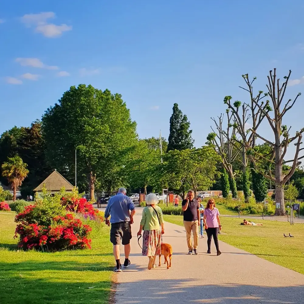 People walking dog in sunny park