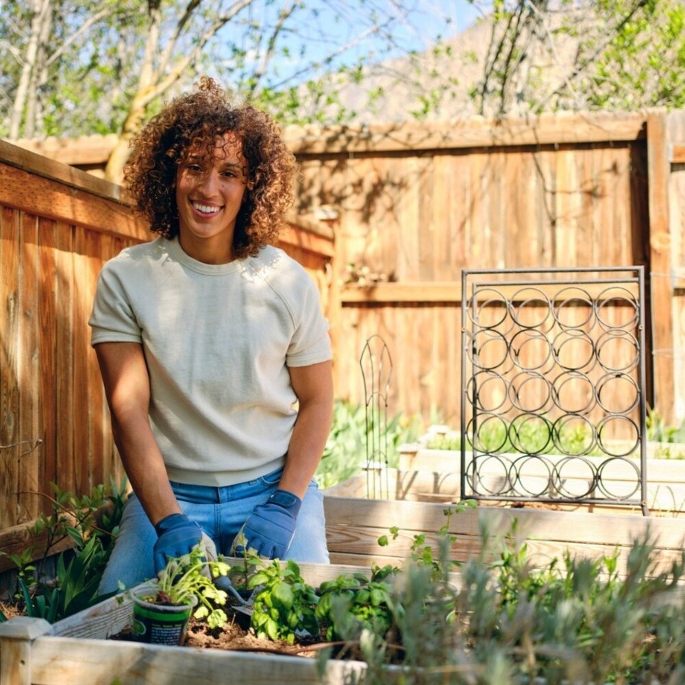  Woman planting herbs in raised bed