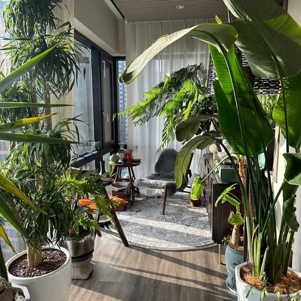 Lush green balcony with many plants