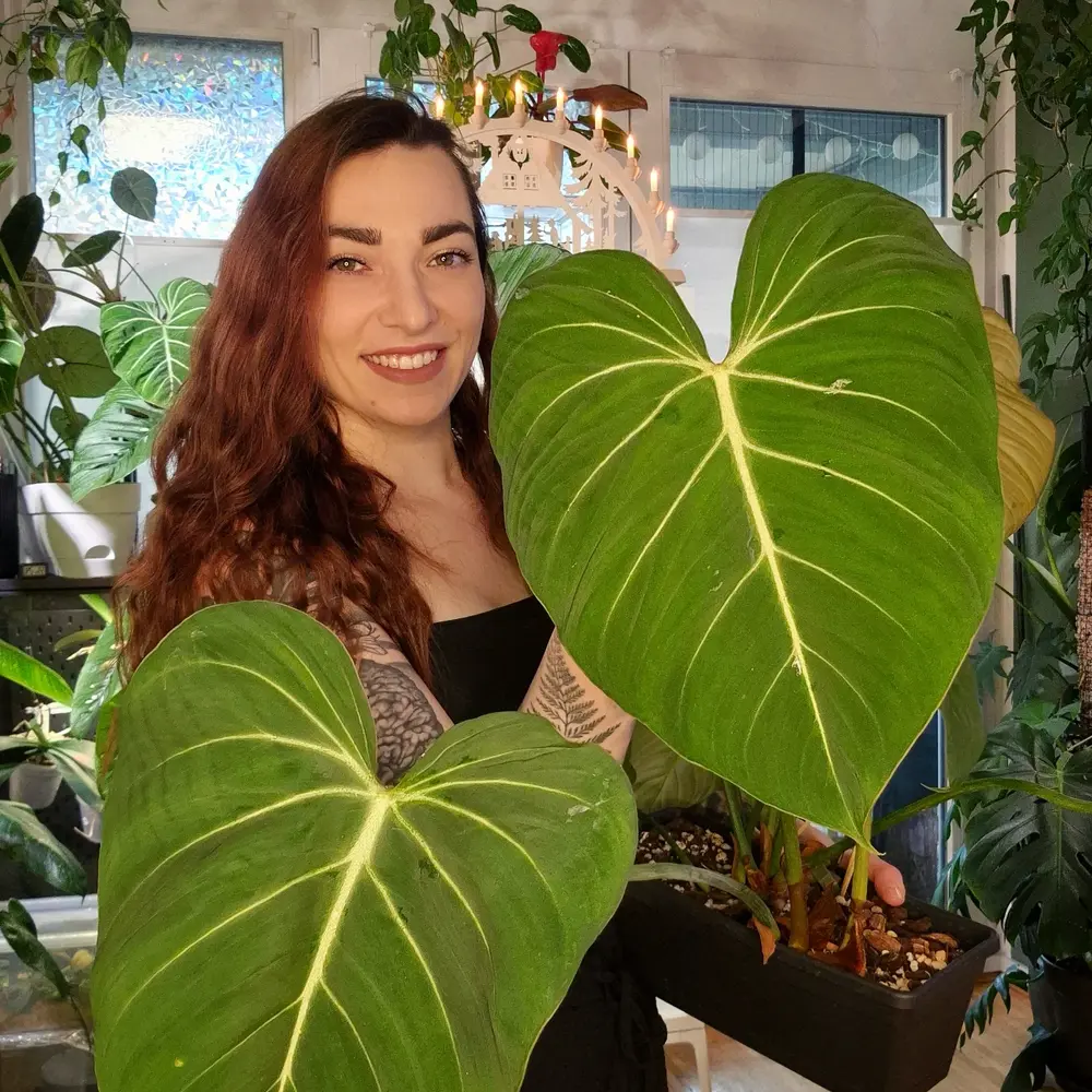 Woman holding giant houseplant leaves