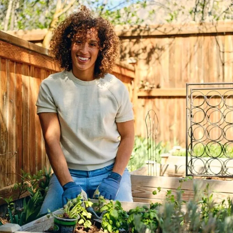 Benefits of Flowers and Plants Feature Image