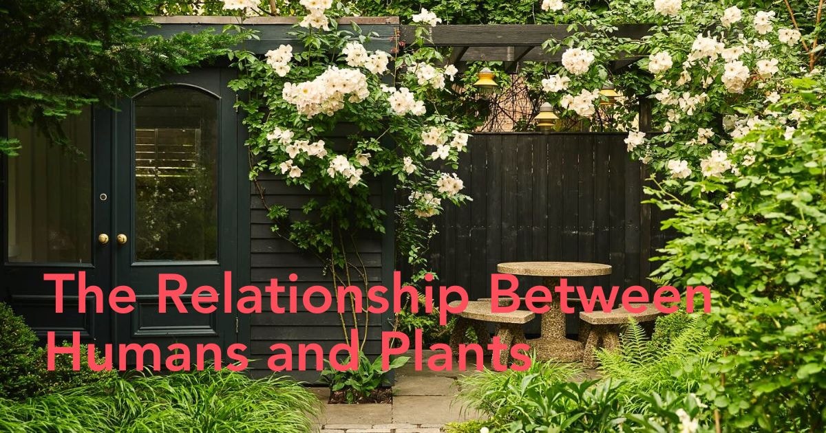 Benefits of Flowers and Plants Header Image