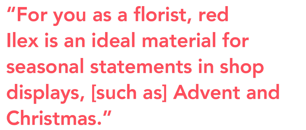 KMB Flowers Ilex Peter van Delft quote KMB Flowers Ilex Peter van Delft quote