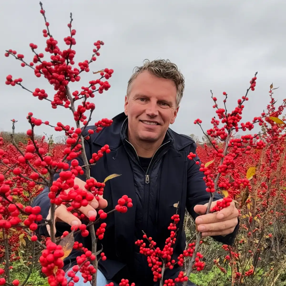 KMB Flowers Ilex Peter van Delft