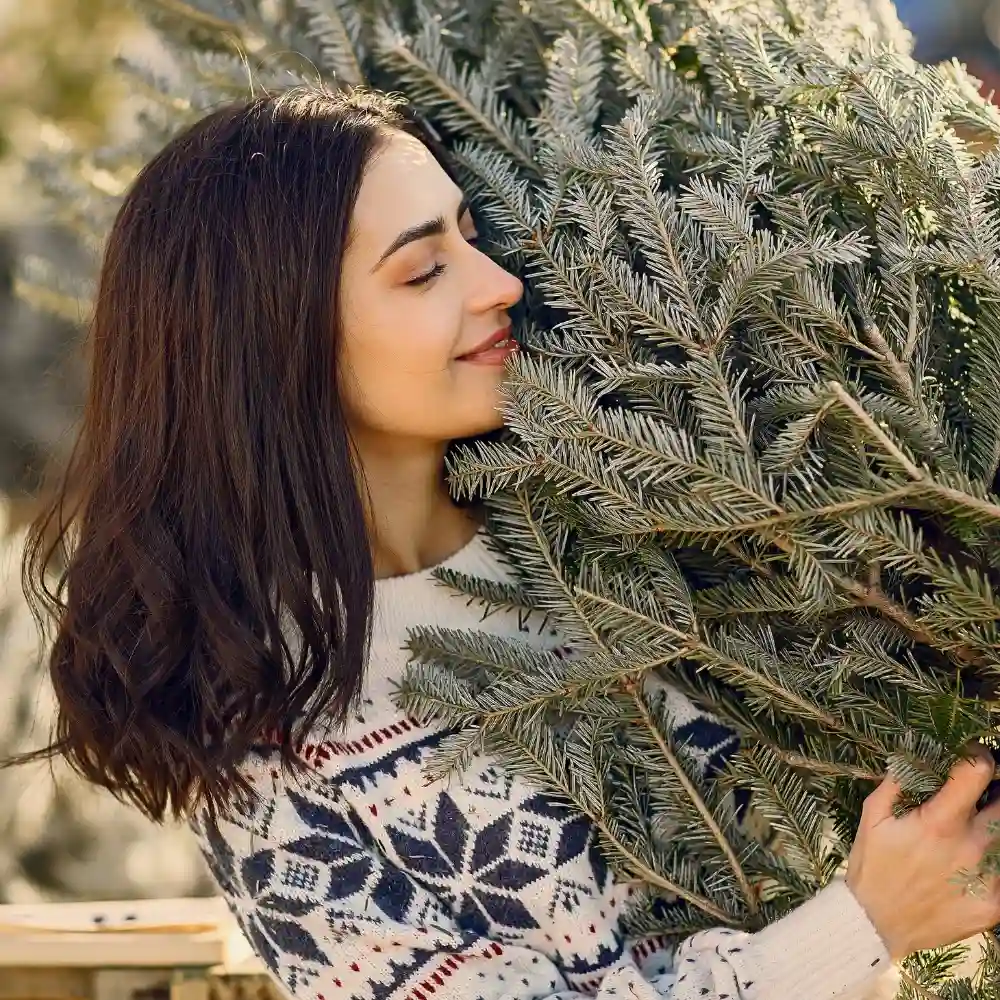 How Holiday Evergreen and Floral Scents Affect Well-Being