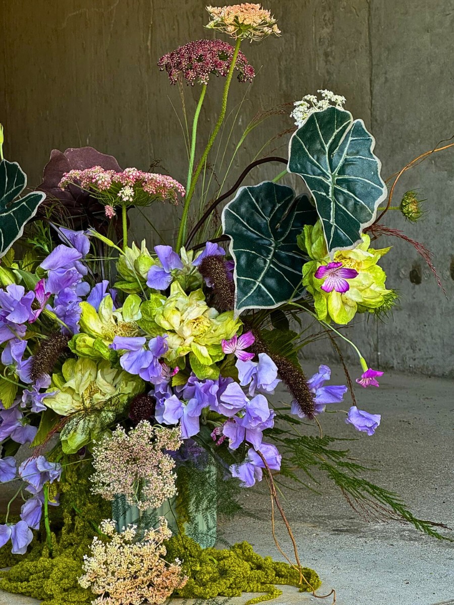 Unique and Charming Rose Veggie from Breeder Schreurs, Grown by Fontana Flowers.