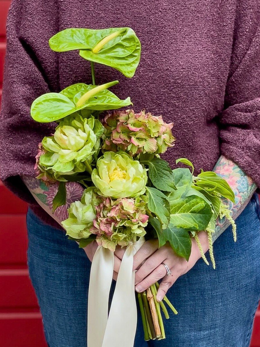 Unique and Charming Rose Veggie from Breeder Schreurs, Grown by Fontana Flowers.