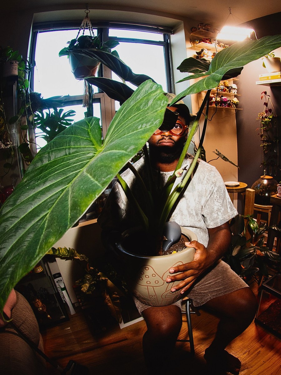 12 Tall Houseplants for Making a Bold Interior Decor Statement