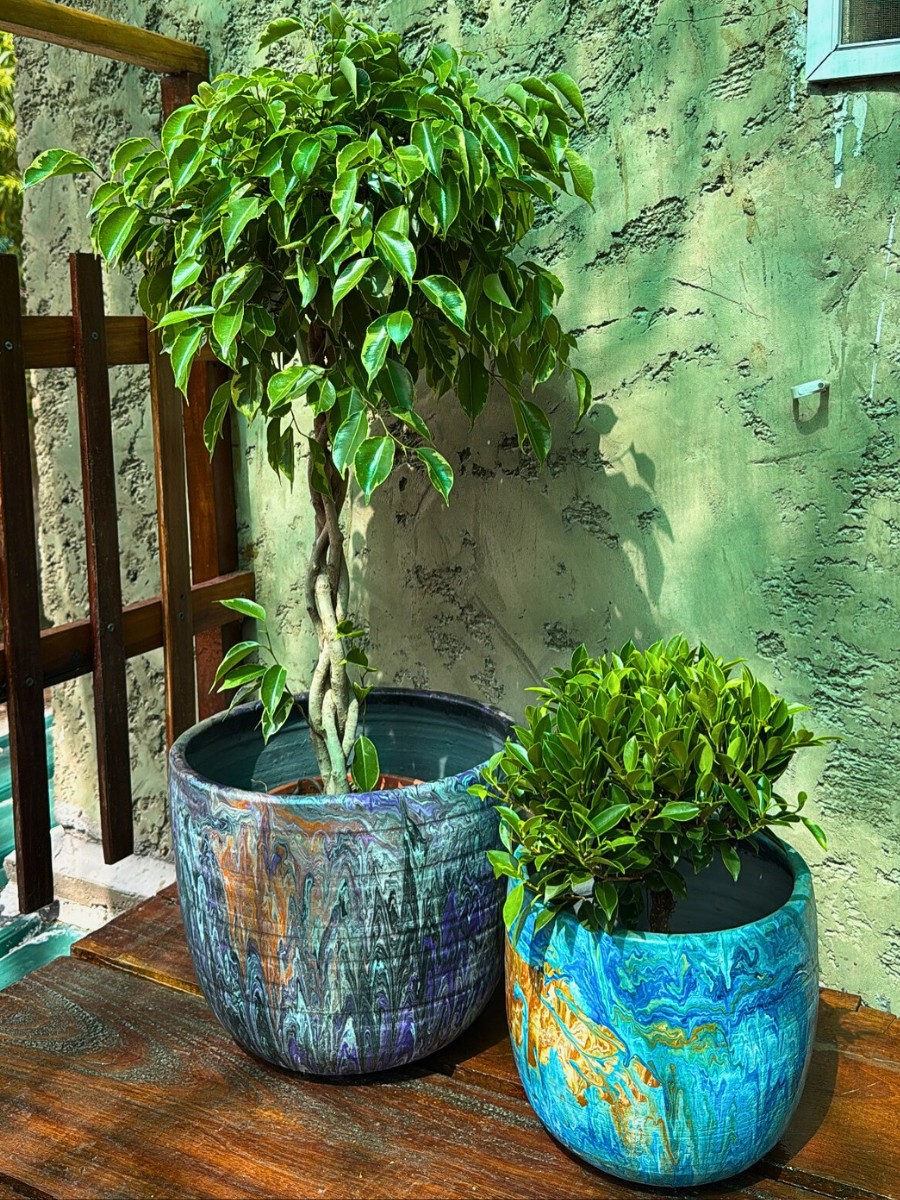 12 Tall Houseplants for Making a Bold Interior Decor Statement