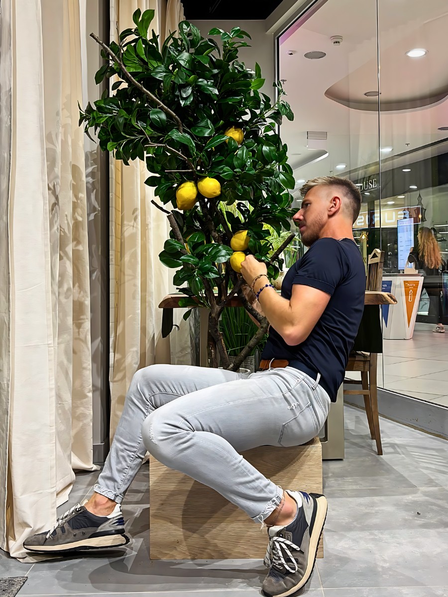 12 Tall Houseplants for Making a Bold Interior Decor Statement