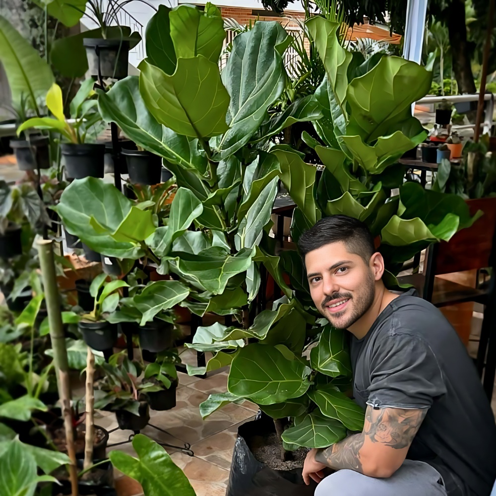 12 Tall Houseplants to Greenup Your Indoor Space