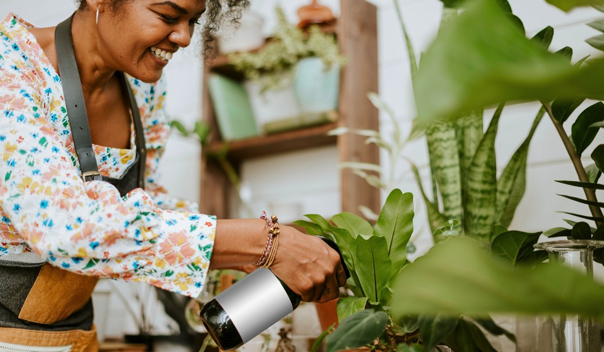 plants that are routinely taken care of have a better chance for survival