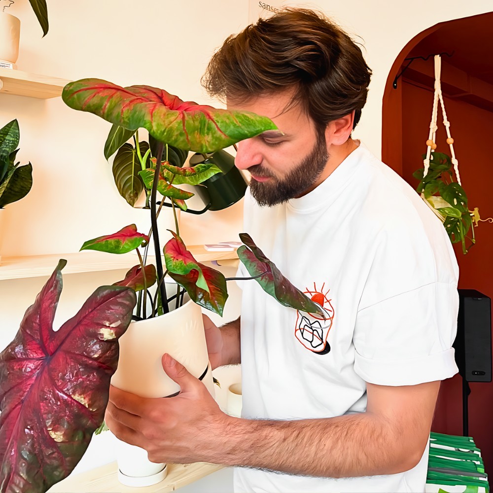 offering tender plant care is the key to keep your plants healthy