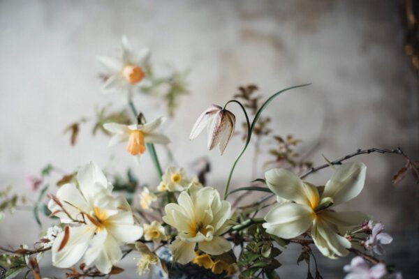 La Musa de las Flores Interviews Lucy the Flower Hunter - Blog on Thursd by Gabriela Salazar (4)