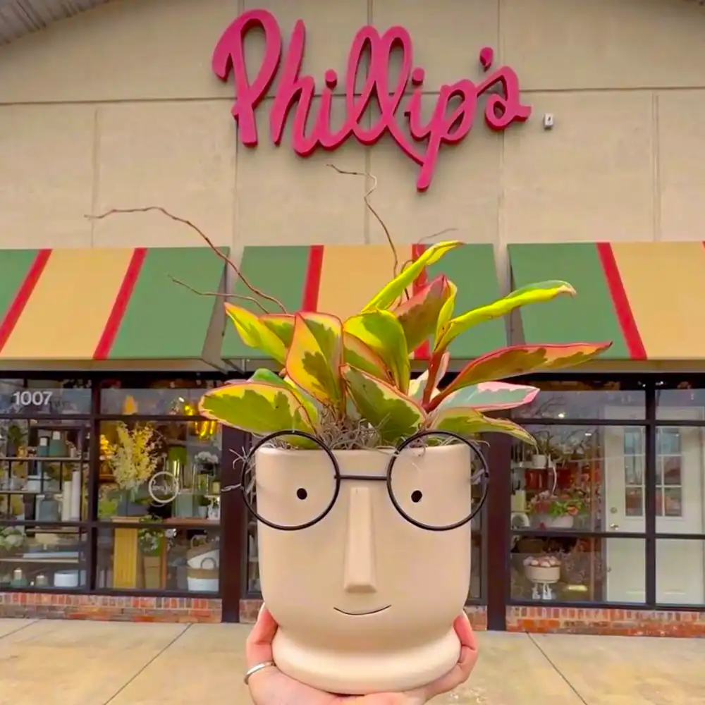 Phillip's Flowers Naperville