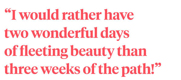 La Musa de las Flores Interviews Lucy the Flower Hunter - quote fleeting beauty - on thursd