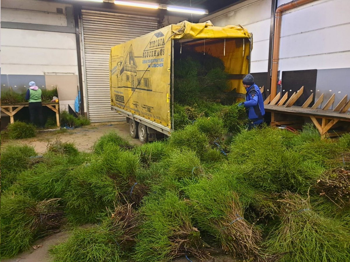 Heidelbeer Shows How Blueberry Branches Can Look Good in Floral Designs