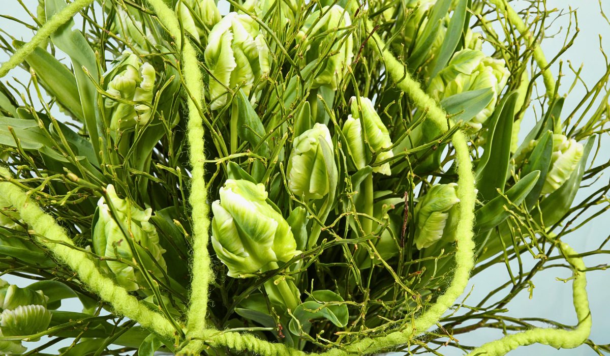 Adomex Imports Heidelbeer (Vaccinium Myrtillus) from Germany and Ukraine for Their Woodland Beauty in Floral Designs and Arrangements - Thursd Article