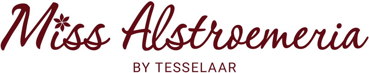 Tesselaar Alstroemeria new logo Miss Alstroemeria