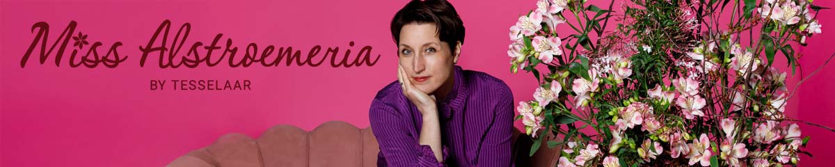 Banner MissAlstroemeria by Tesselaar Desktop