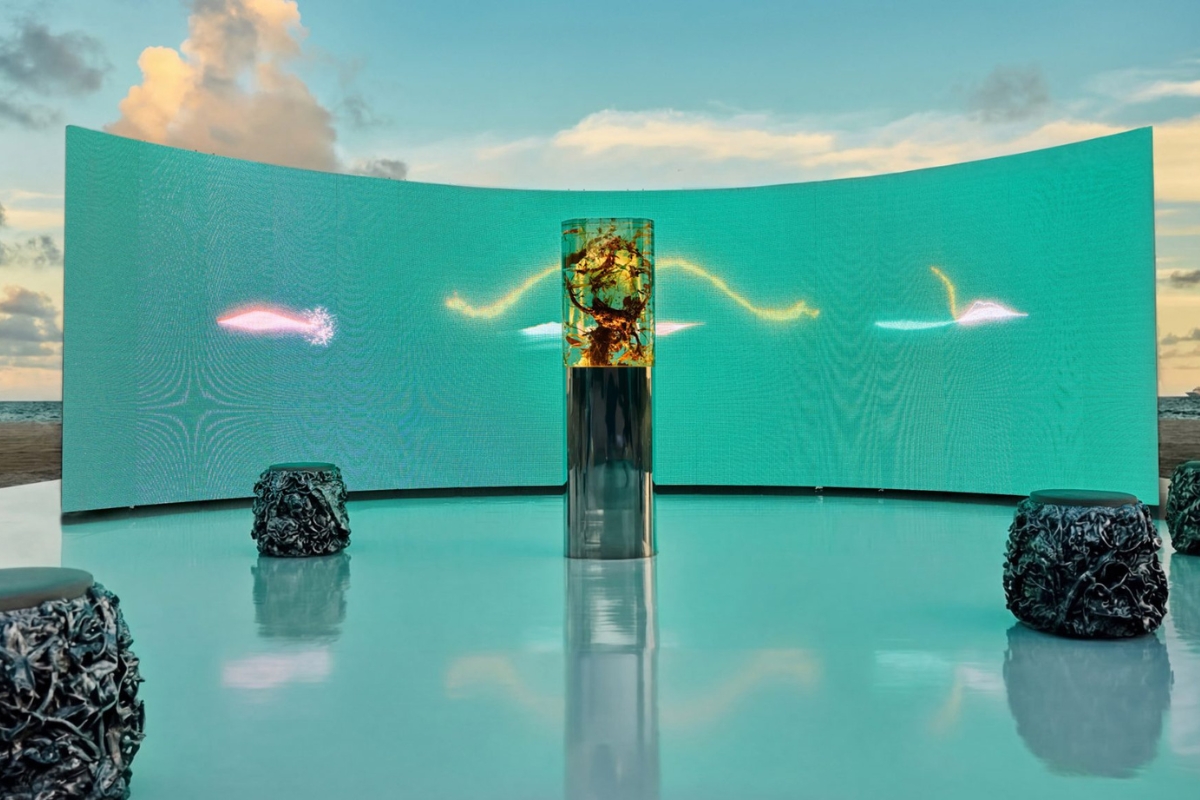 Featured vines and wild species from the Champagne region