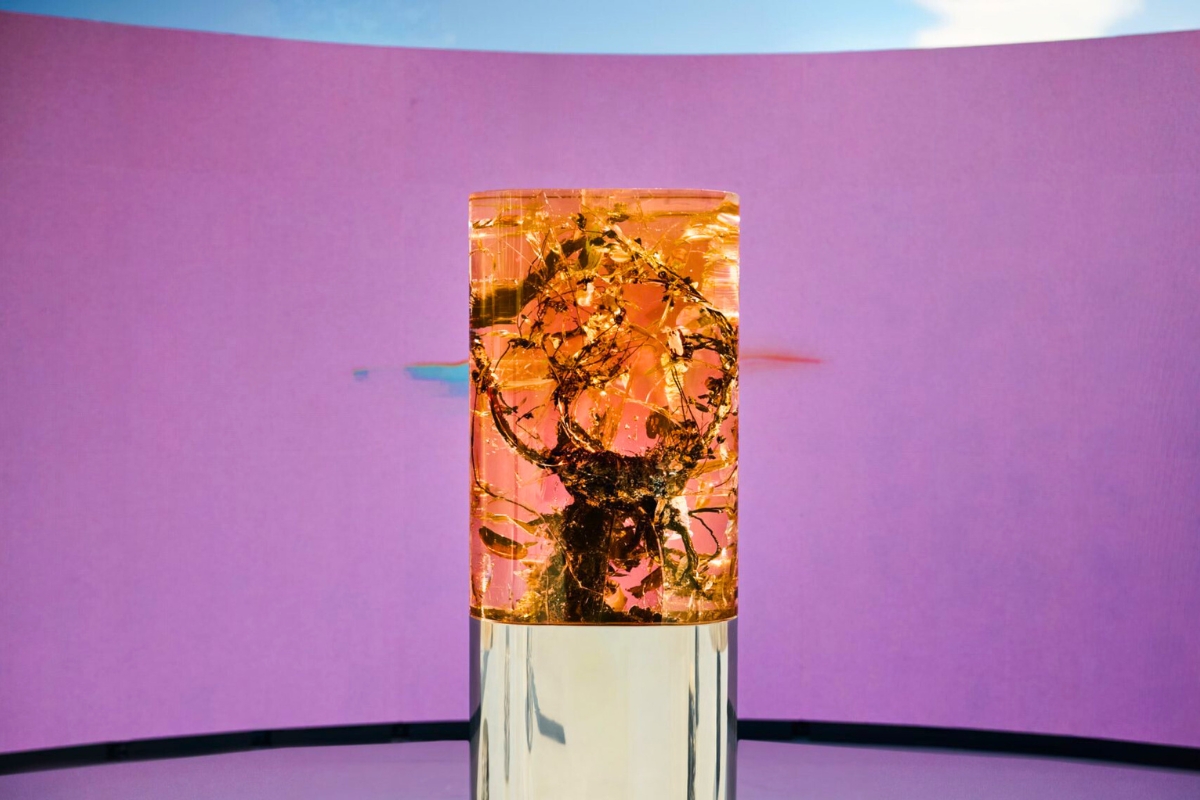 A resin-encased botanical sculpture anchored the installation