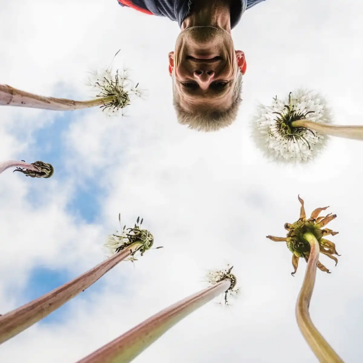 Theo Bosboom Flowerscapes interview