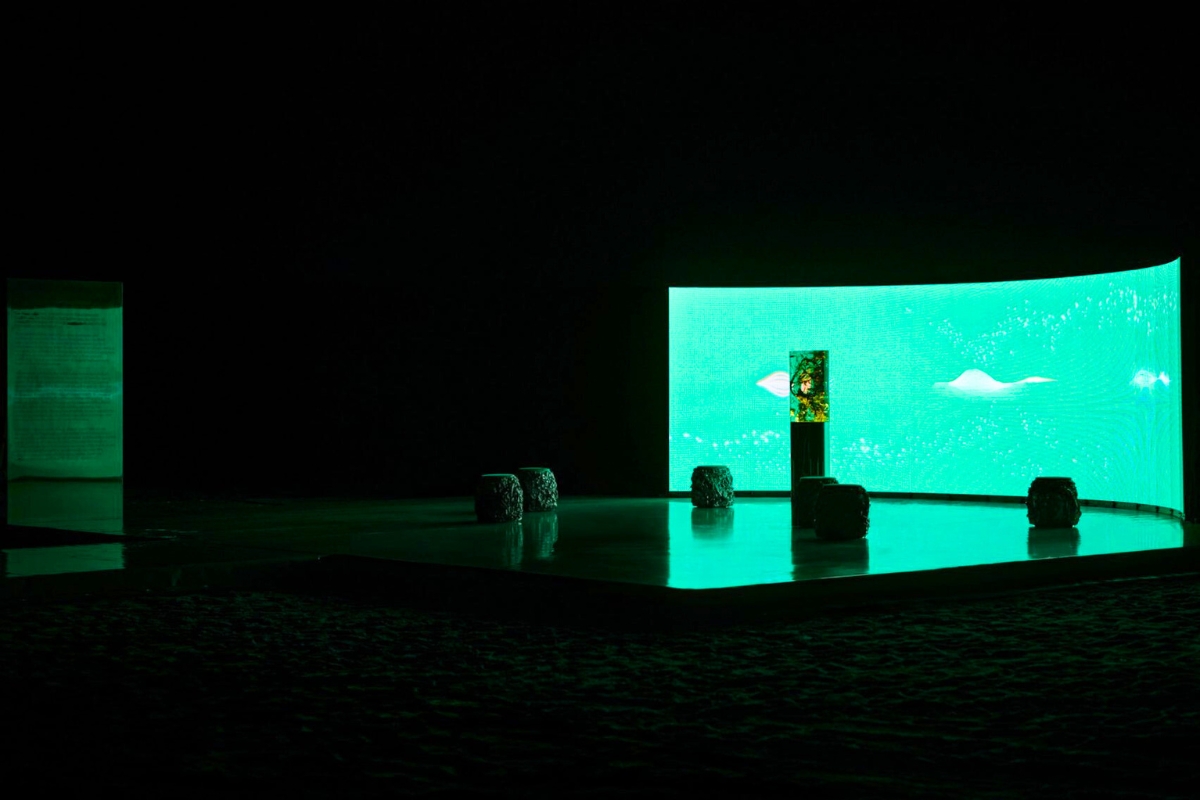 Rusak transformed botanical activity into a sculptural soundscape