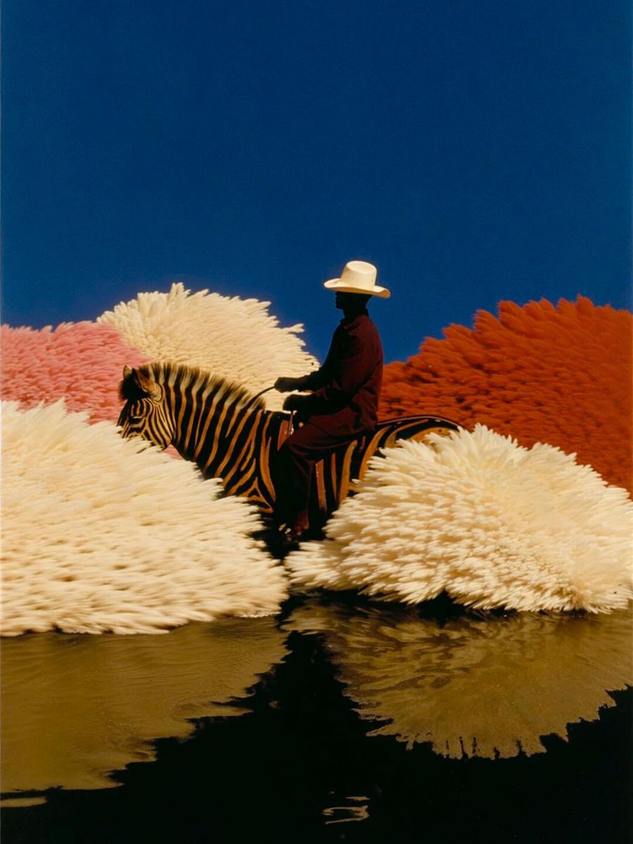 Man with zebra in between pampas