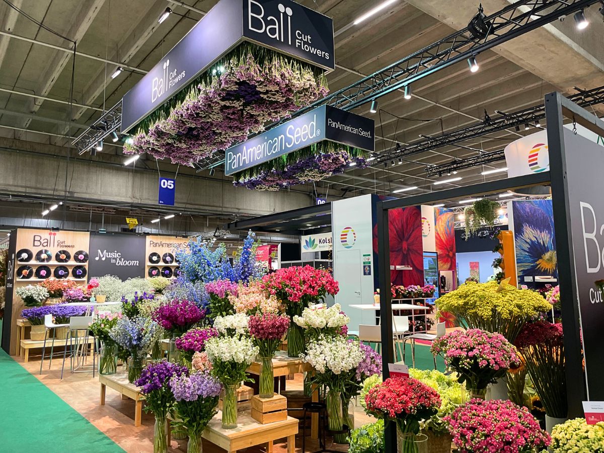 10 Questions to Cristina Lopez