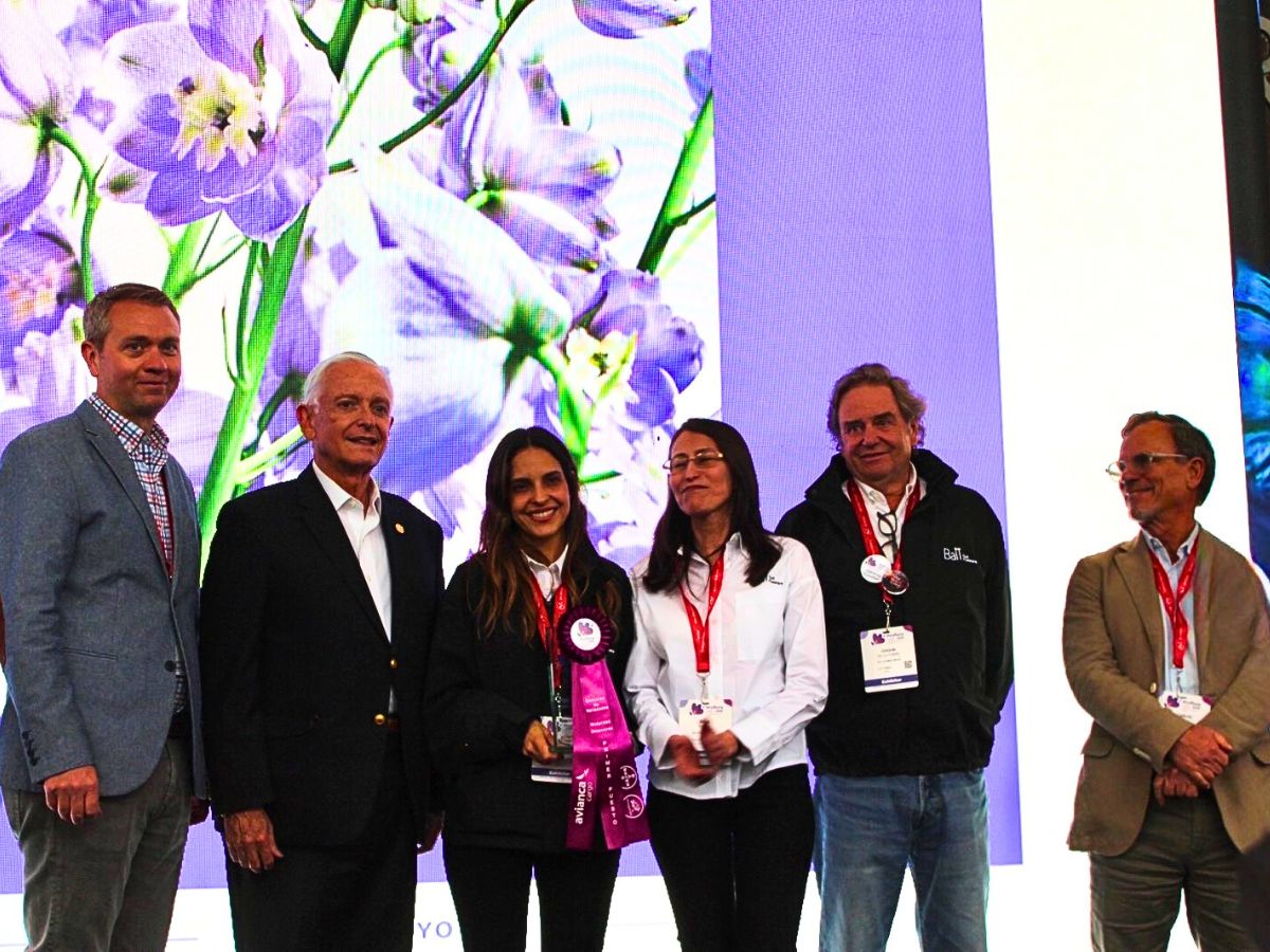 10 Questions to Cristina Lopez