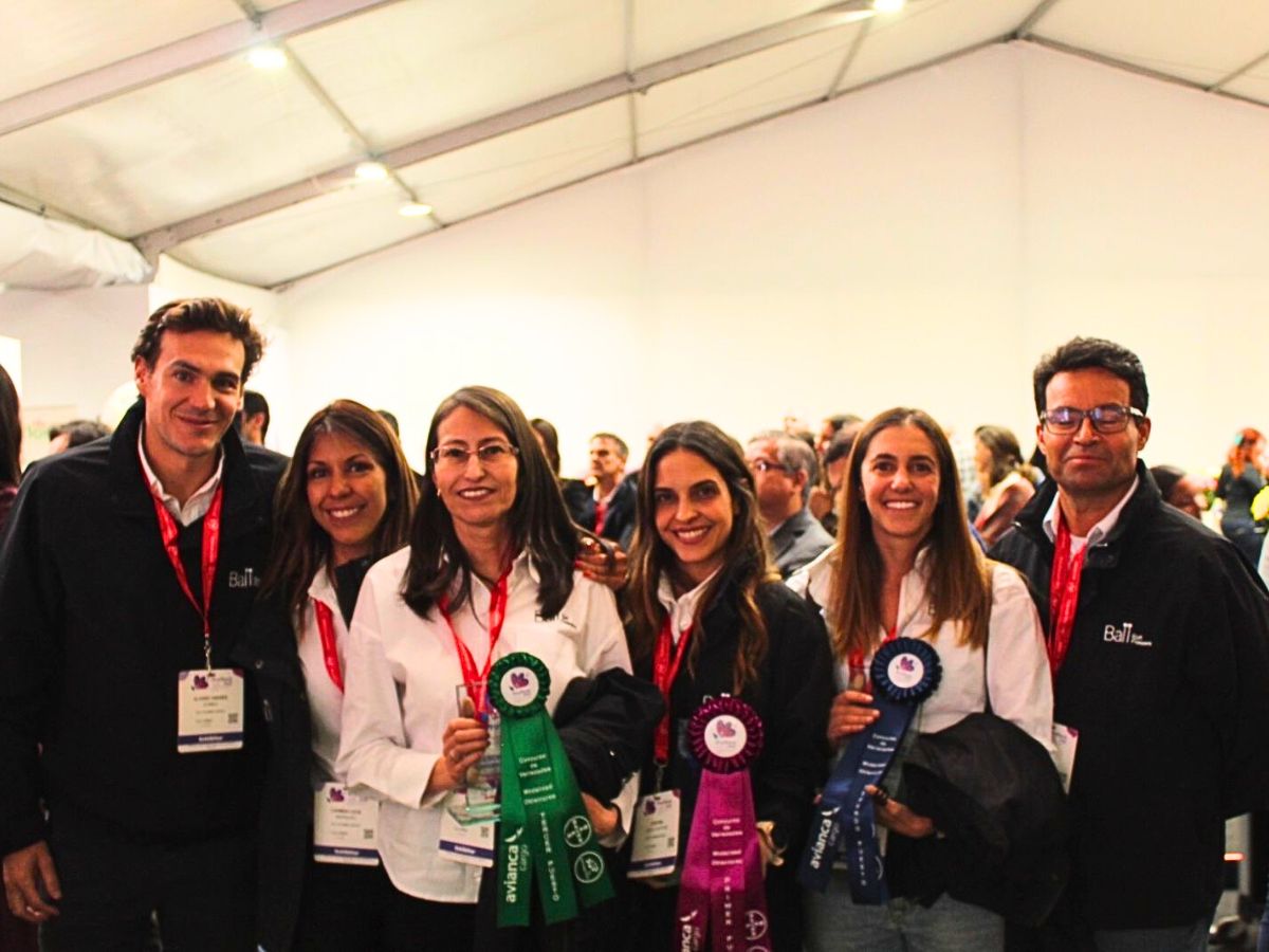 10 Questions to Cristina Lopez