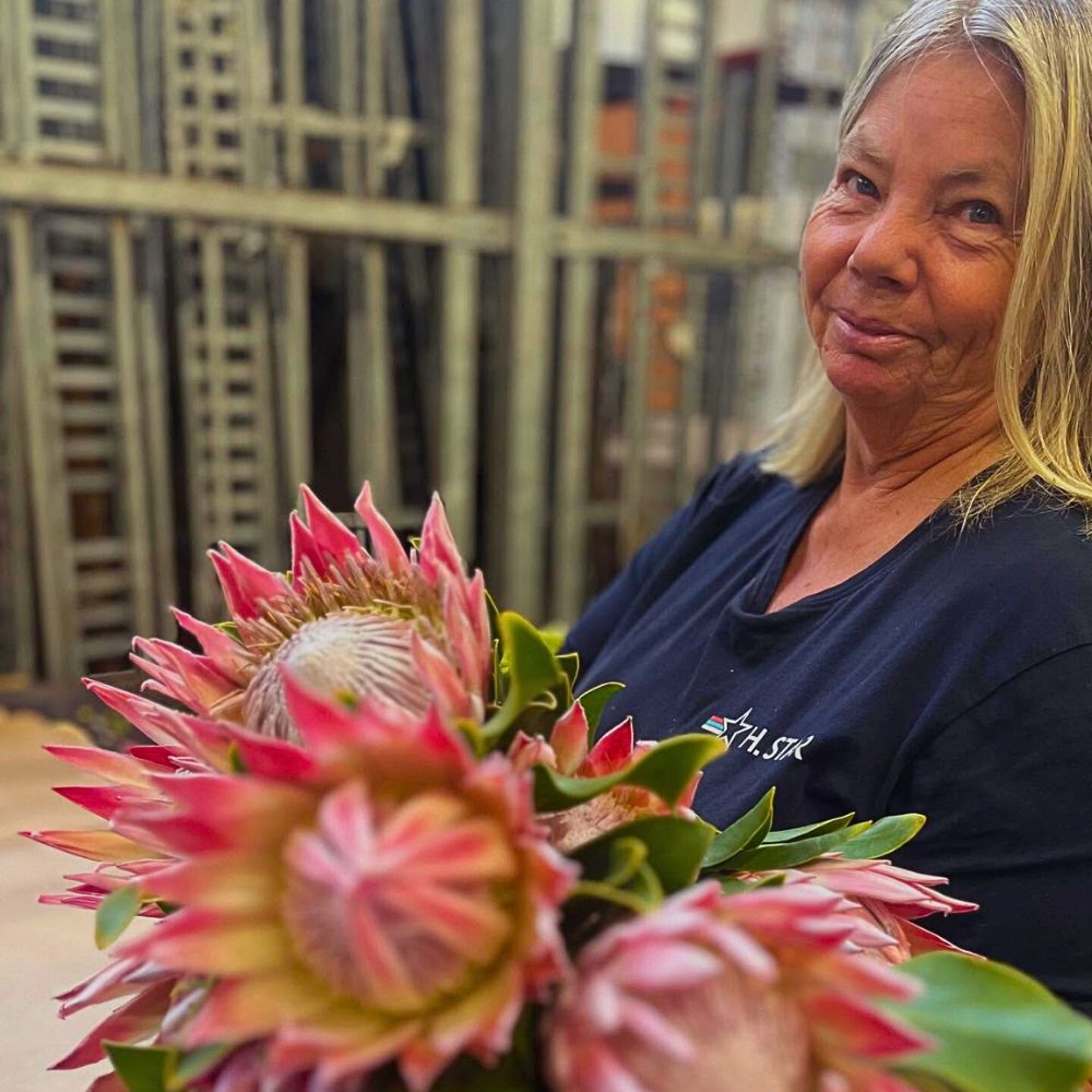 a lady holding a bunch of proteas