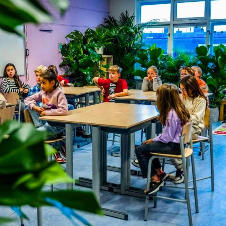 Plants in classroom by Air So Pure