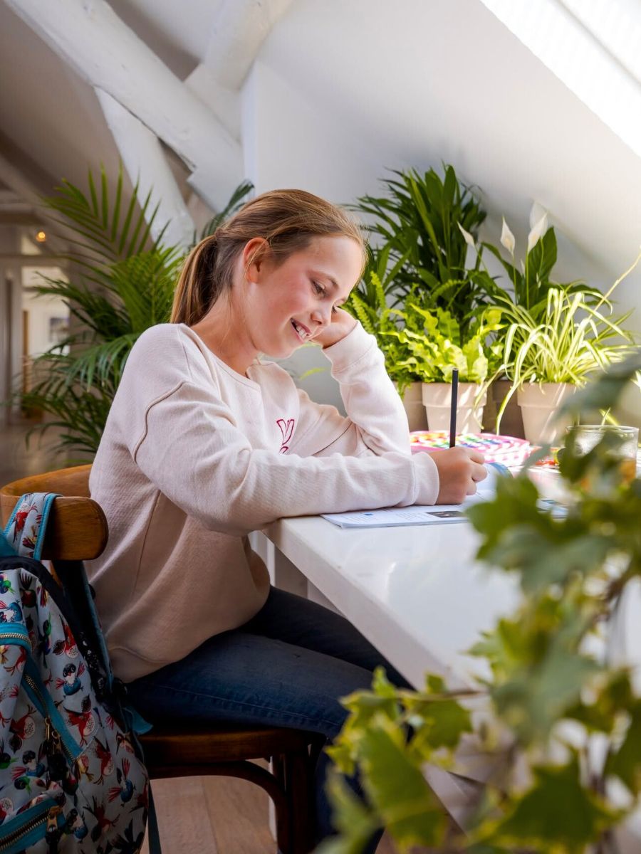 Plants from Air So Pure for better learning conditions