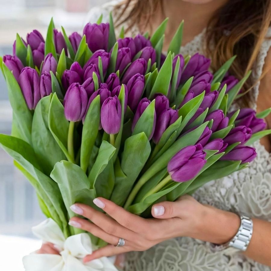 Tulip Purple Prince by inna gilich