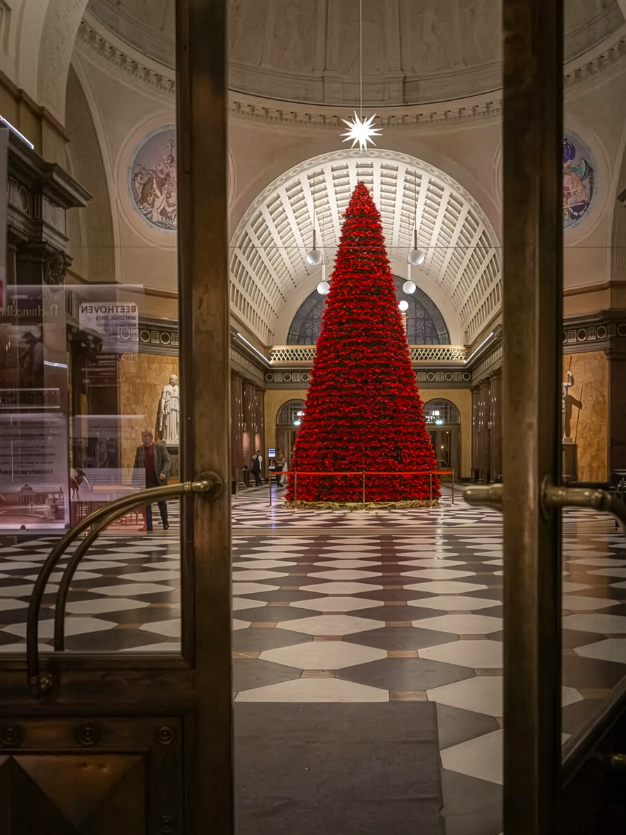 Poinsettia Tree in Wiesbaden church