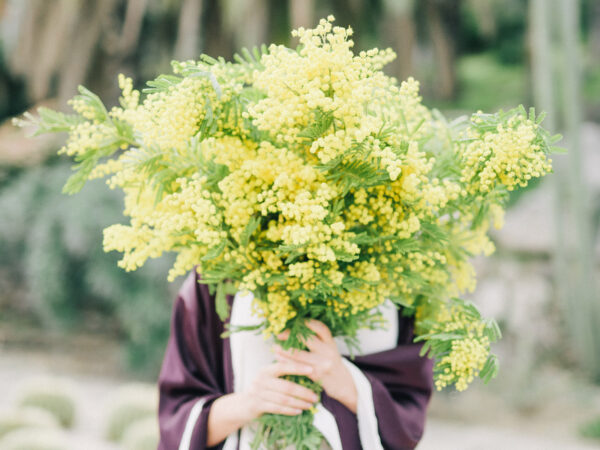 Why in Italy Mimosa Is Gifted on Women's Day 11