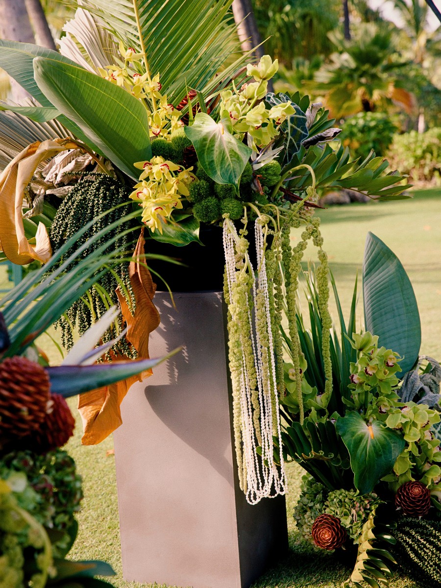 Experience the Spirit of Aloha in Hawaiian Floral Culture at the IPM Essen 2026