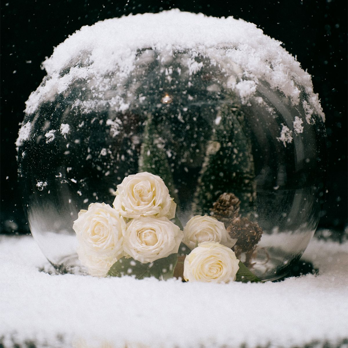 White Spray roses in a globe