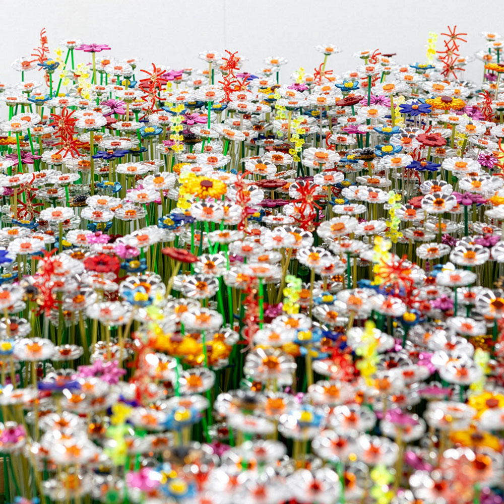 Multitude of mirrored flowers mo man tai