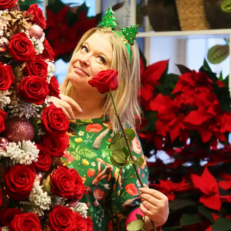 Which Are the Red Roses for Christmas Holidays and Perfect for the Festive Season?