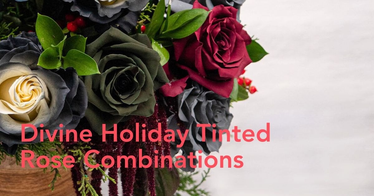 Star Roses’ Holiday Tinted Collection – Full of Color, Creativity, a...