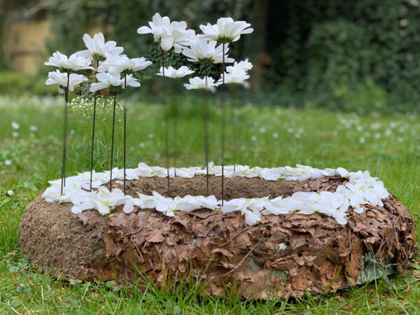 Natural Colors Combine Perfectly with Chrysant Ilonka by Ivan Bergh