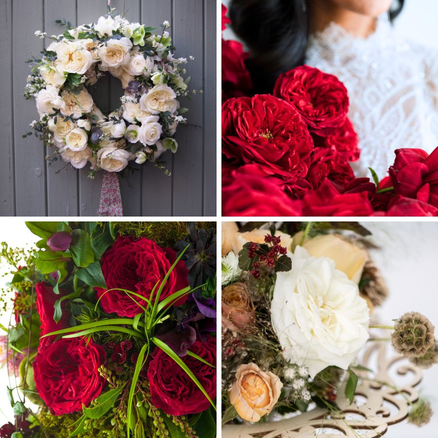 White and red roses by Alexandra Farms