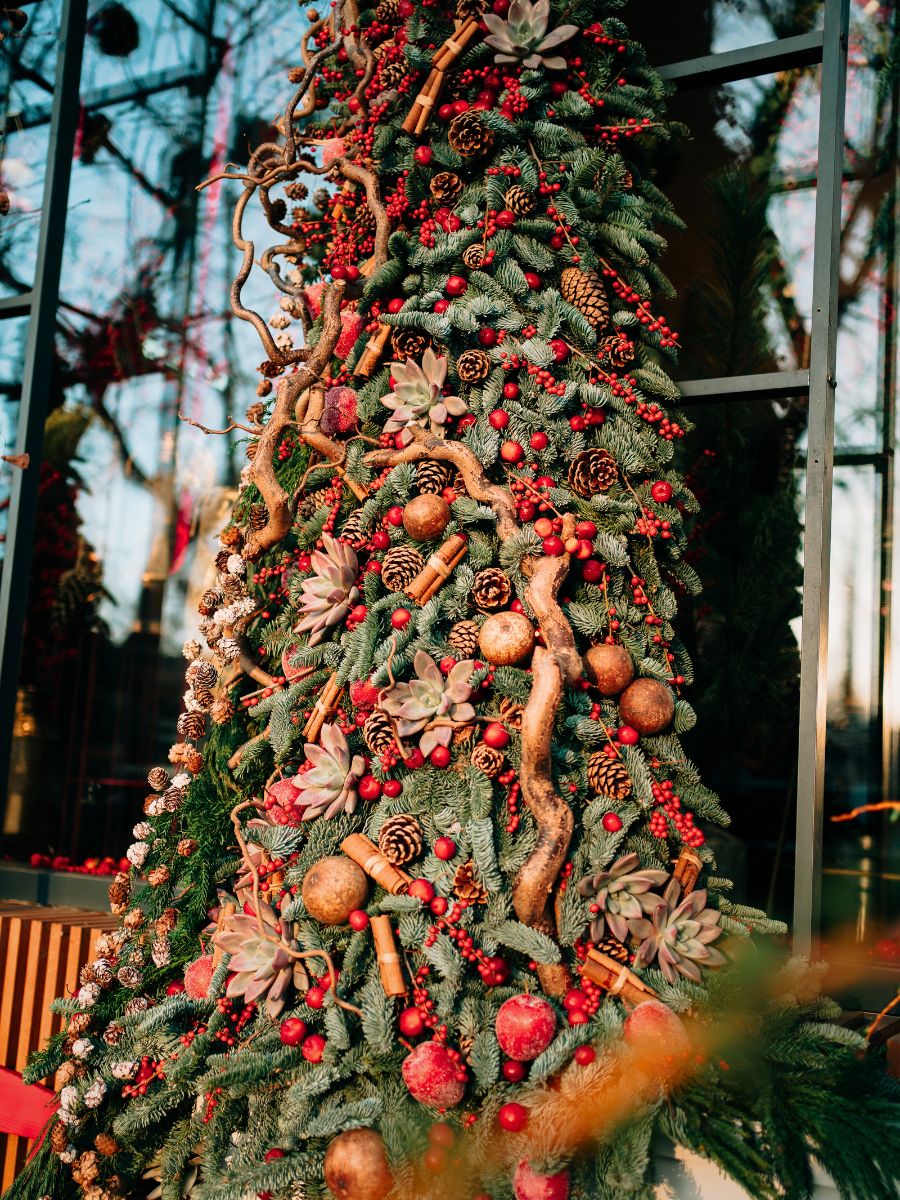 Claudia Tararache Anthurium Flowers Christmas Tree Into a Window 