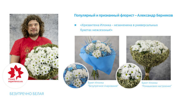 Russians Prefer White Chrysanthemums by Natasja Mironova