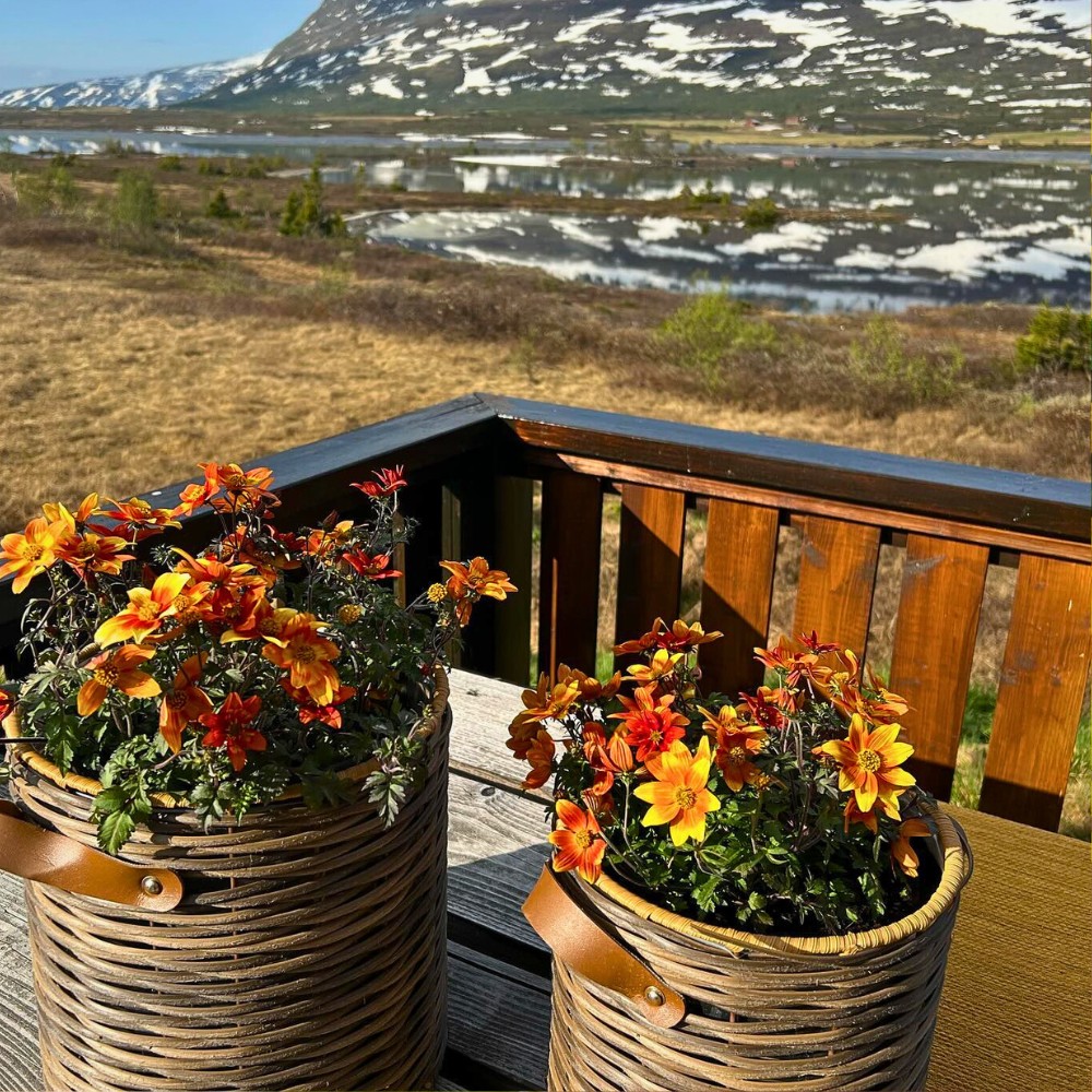 biden flower baskets kept in a table with the beautiful nature in background with hills covered with snow