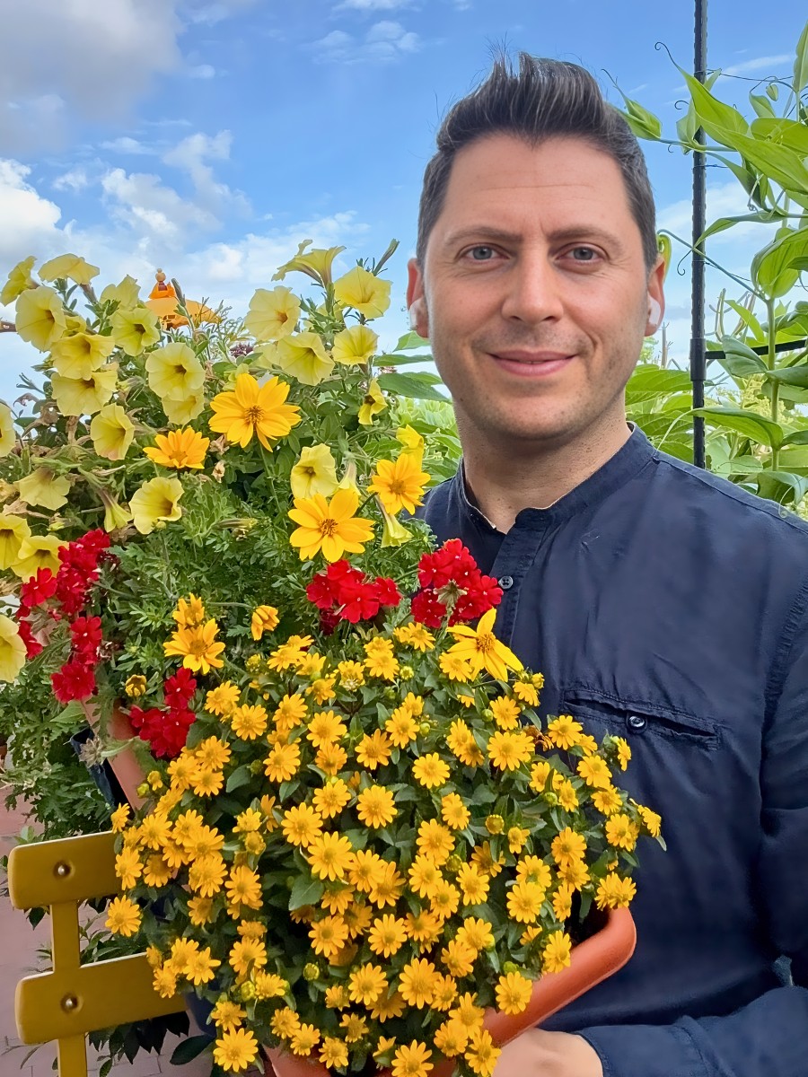 Companion planting with Bidens